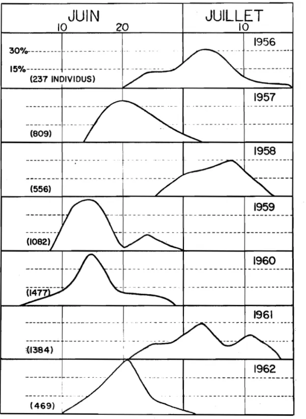 Fig.  11- Nymphose  d'!·  argzrospilus  d'  apr~s  des  données  cumulées  l  intervalles  de  4  jours,  de  1956  A 1962