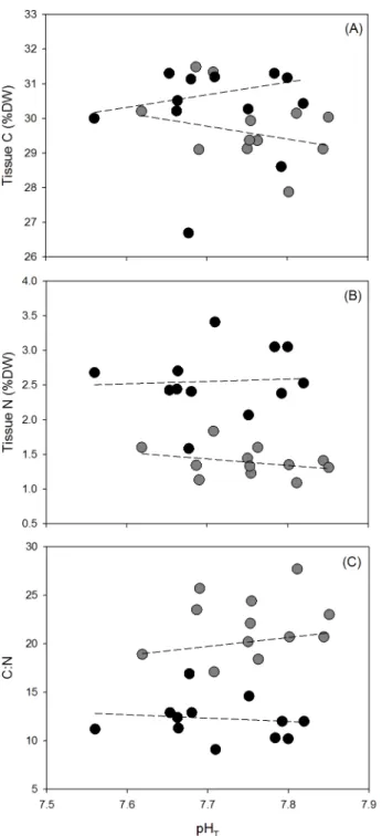 Fig 6. (A) Tissue C (%DW), (B) tissue N (%DW), and (C) C:N ratio of samples of Ulva australis under ambient and enriched NH 4 + treatments across a range of pH T 