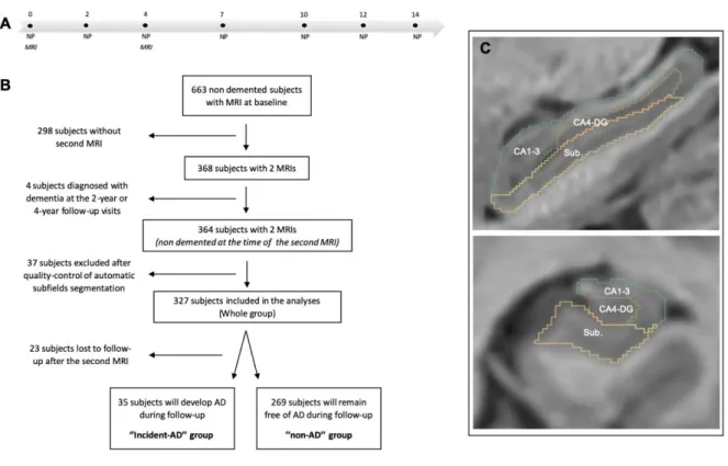 Figure 1. Methodology of the study. (A) During the follow-up period, neuropsychological assessments  (NP)  were  administered  at  baseline  and  after  2,  4,  7,  10,  12  and  14  years