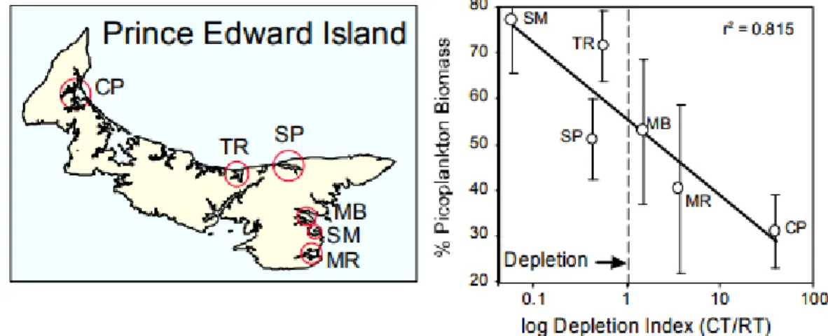 Figure 7 : Provenant de Cranford et al. 2009. «  Mean contribution of picophytoplankton in  six PEI embayments containing different levels of mussel culture (August 18-22, 2008)