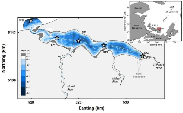 Figure  8:  Map  of  St.  Peters  Bay  (Prince  Edward  Island,  Atlantic  Canada)  showing  bathymetry  (blue  scale),  aquaculture  leases  (polygons)  and  sampling  stations  (SP0,  SP1,  SP2, SP3 and SP4)