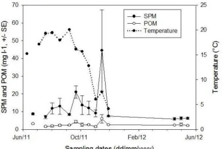 Figure 13: Mean (± SE) SPM (mg l -1 ) and POM (mg l -1 ) at each sampling date (n=14)