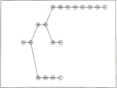 Figure 2.3 Représentation par  contacts d'un arbre  défibres d'une  solution  sans  filtre