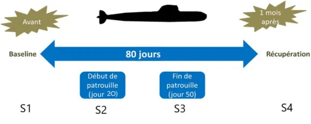 Figure 3- Design expérimental proposé en fonction des contraintes opérationnelles. Les temporalités  indiquées de recueil, jour 20 et jour 50 sont des indications approximatives