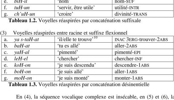 Tableau 1.2. Voyelles réaspirées par concaténation suffixale   (3)  Voyelles réaspirées entre racine et suffixe flexionnel 