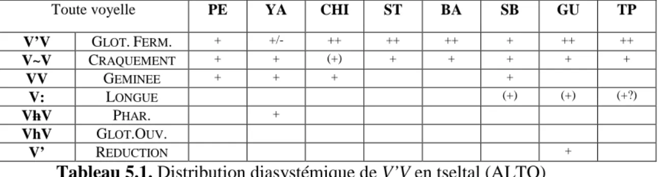 Tableau 5.1. Distribution diasystémique de V’V en tseltal (ALTO) 