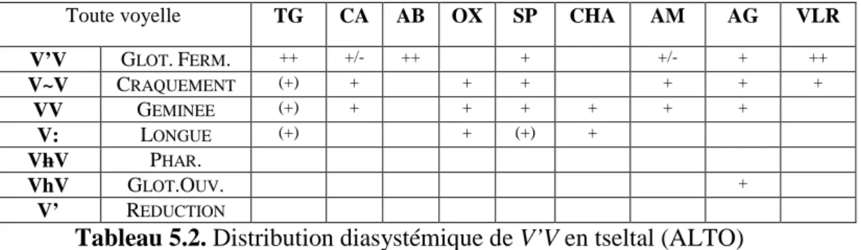 Tableau 5.2. Distribution diasystémique de V’V en tseltal (ALTO)  Outre  les  deux  phases  de  neutralisation  par  modalisation  du  noyau  complexe  que  sont  les  types  G EMINEE   et  L ONGUE ,  pouvant  opérer  séparément  ou  par  binômes  corrélés