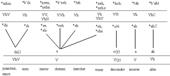 Figure 1. Réflexes de noyaux complexes du protomaya en tseltal, d’après les  données de Kaufman &amp; Justeson 2003