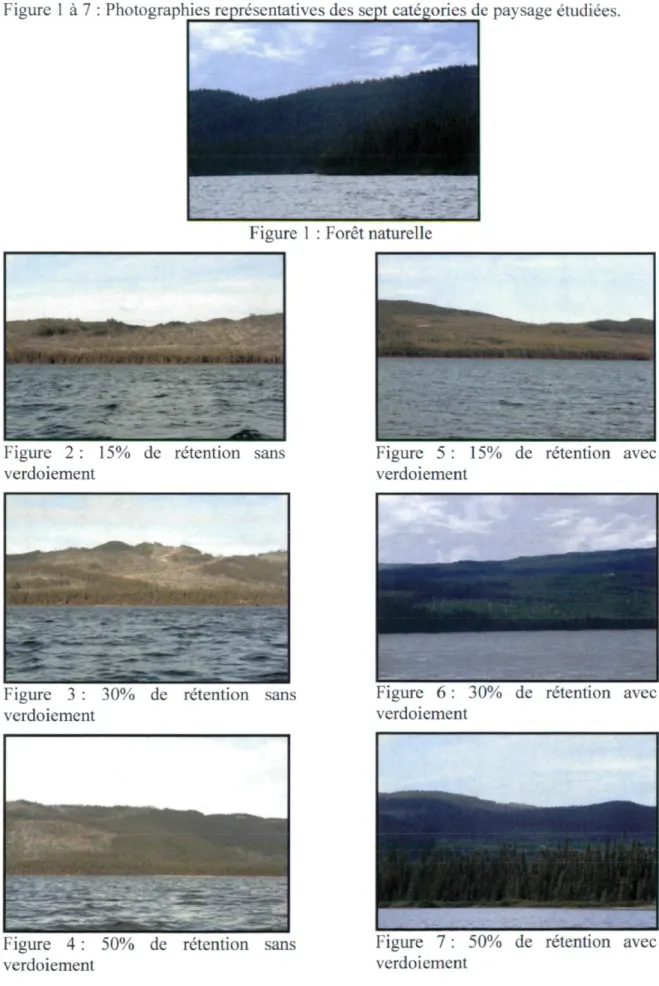 Figure 1 à 7 : Photographies représentatives des sept catégories de paysage étudiées. 