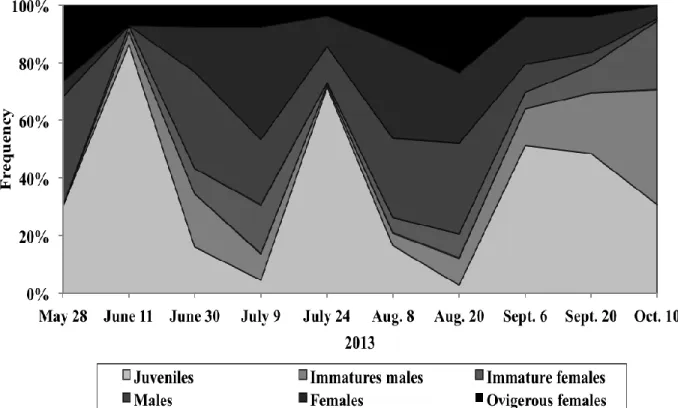 Figure 4. Stage based population structure of  N. americana over the sampling period from May  28 th  to October 10 th  at St