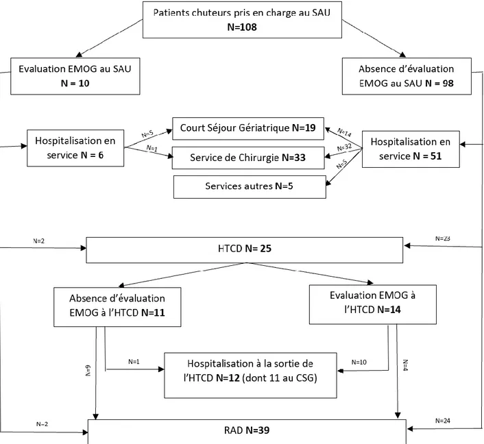 Figure 2 – Entretien EMOG et Orientation des 108 patients chuteurs  (SAU : Service d’Accueil des Urgences,  EMOG : Equipe mobile de gériatrie, HTCD : Hospitalisation Très Courte Durée, CSG : Court Séjour Gériatrique, 