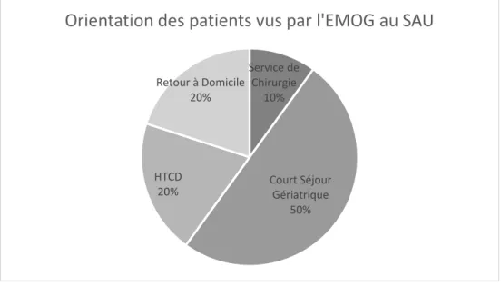 Figure 5 - Orientation des patients vus par l'EMOG au SAU 