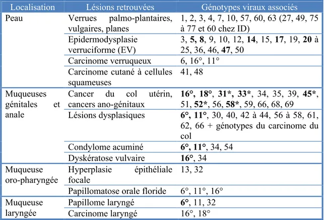 Tableau 2 : Génotypes HPV et lésions associées 