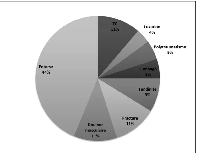 Figure 9 : Répartition des traumatismes 