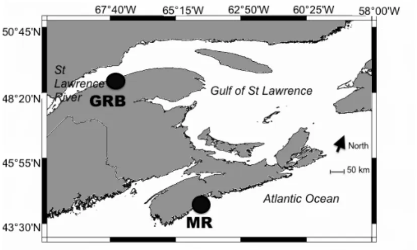 Figure 10 River estuaries where glass eel were sampled for this study Grande-Rivière- Grande-Rivière-Blanche (GRB), 48°47' N, 67°41' W; Mersey River (MR), 44°02' N, 64°42' W 