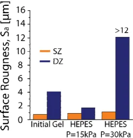 Figure 5. Quantitative analysis of gel roughness after 10 4  cycles at 5mm/s and under an applied load  equals to100% of elastic modulus of 2.5 % w/w  chitosan hydrogel (30 kPa) in 0.1M HEPES buffer pH  7.4