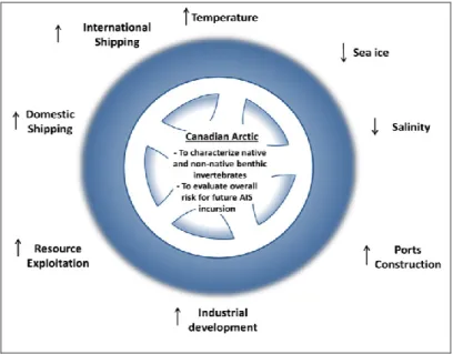 Figure 4: Representation of the general objectives and the main drivers that influence the risk  of non-indigenous species in the Canadian Arctic region