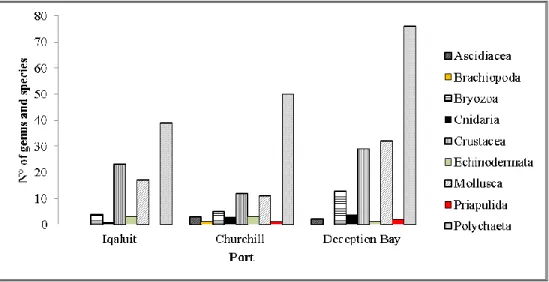 Figure 9: Histogram showing the taxonomic composition sampled by core for the ports of  Iqaluit, Churchill and Deception Bay