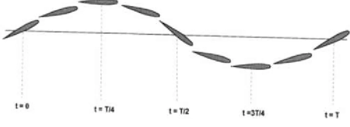 Figure 3 : Schéma montrant le mouvement de la pale par rapport à son axe au repos  au cours du temps 