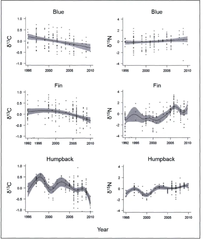 Figure 5. Interannual 8 13 C and 8 15 N trends for blue, fin, and humpback whales from  1992/1995 to 2010 in the Gulf of St