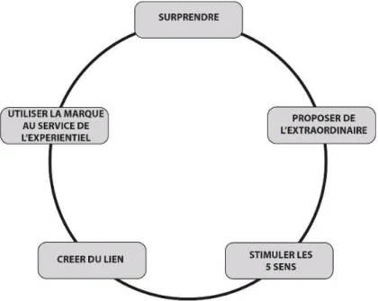 Figure 1 : La roue expérientielle 