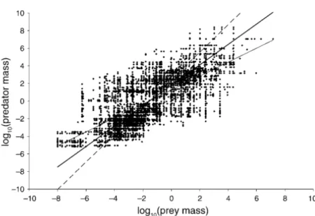 Figure 9: Masse des pr´edateurs en fonction de la masse des proies. La droite de r´egression principale (ligne continue) explique 86% de la variance du log 10 de la masse des proies (n = 5103)