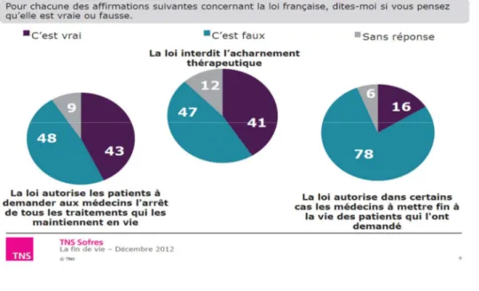 Figure 3: TNS Sofres, la fin de vie. Décembre 2012 [40] 