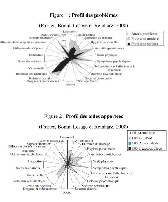 Figure 1 : Profil des problèmes  (Poirier, Bonin, Lesage et Reinharz, 2000) 