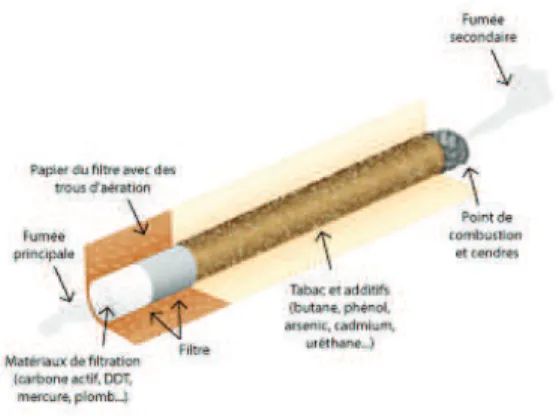 Figure  1.  Schéma  représentant  une  cigarette  avec  les  courants  de  fumée  primaire  et  secondaire 