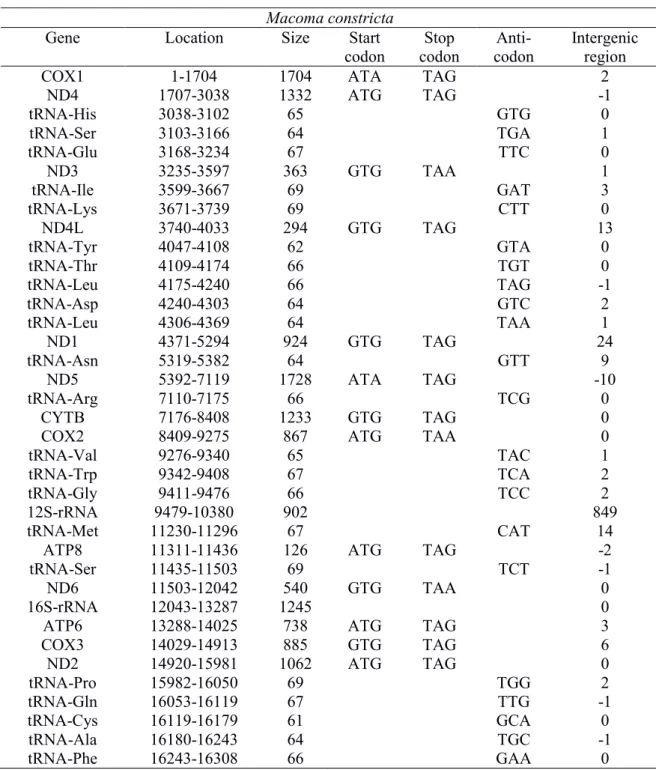 Table S3. Macoma constricta mitochondrial genome annotation  Macoma constricta 