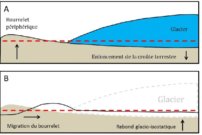 Figure 1. A. Diagramme schématique représentant l’enfoncement glacio-isostatique de la croûte terrestre et la  formation  du  bourrelet  périphérique  en  marge  du  glacier