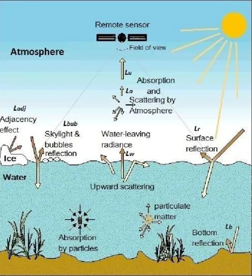 Figure 1.  Factors  influencing  upwelling  sunlight  leaving  the  air-water  interface  (adapted from www.dmu.dk) 