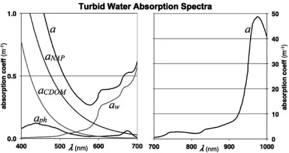 Figure 2. Light absorption components in coastal waters (Turpie 2013) 