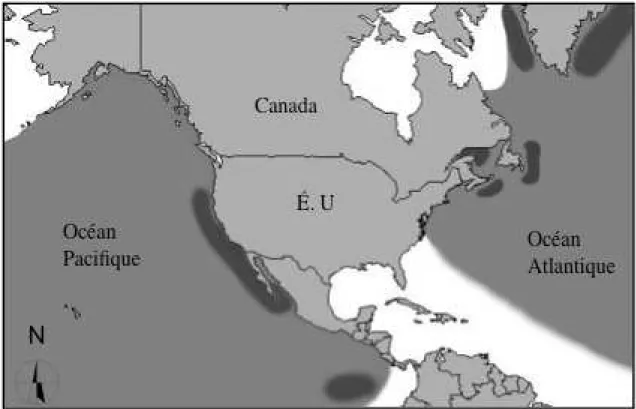 Figure 1: Aires de répartition connue (zones sombres) et probable (zones claires) du rorqual  bleu Balaenoptera musculus au niveau des côtes Est et Ouest de l’Amérique du Nord  (modifé de Sears et Calambokidis, 2002) 
