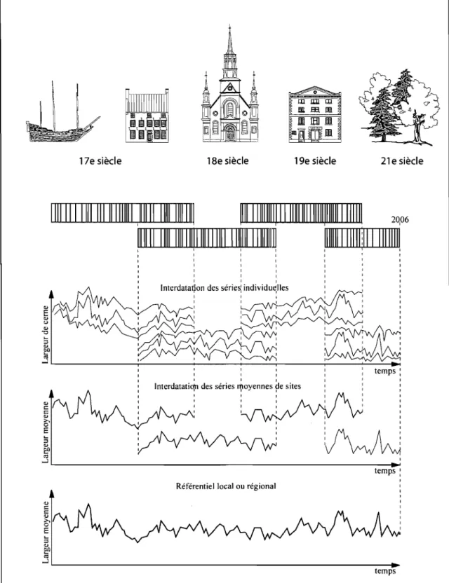 figure  3  :  Construction  d'une  chronologie  de  référence  par  recoupement  des  séries  mesurées  sur  des  bois  provenant  de  sites  archéologiques,  de  constructions  anciennes  et  d'arbres vivants