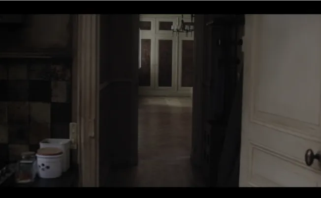 Figure n.6 : Image tirée du film Amour, 2012. Dans cette scène finale de Amour, Michael Haneke fait sortir  ses personnages du plan afin de délaisser la présence à l’écran