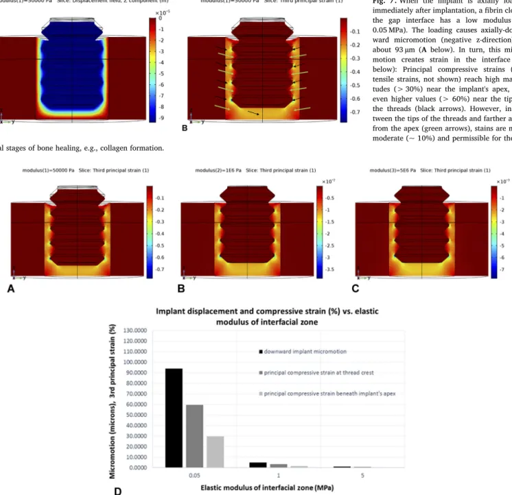 Fig. 8. In regions in the gap where compressive strains are small to moderate, bone healing can occur, which has the eﬀect of increasing the gap's properties (e.g., elastic modulus)
