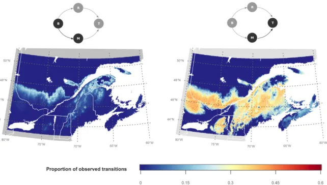 Figure 3: Frequency of transitions from (B)oreal to (M)ixed (left panel) and (M)ixed to (T)emperate forest (right panel) between initial (2015) and final (2095) time steps