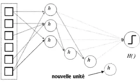 figure 3.3 — Hiérarchie souple