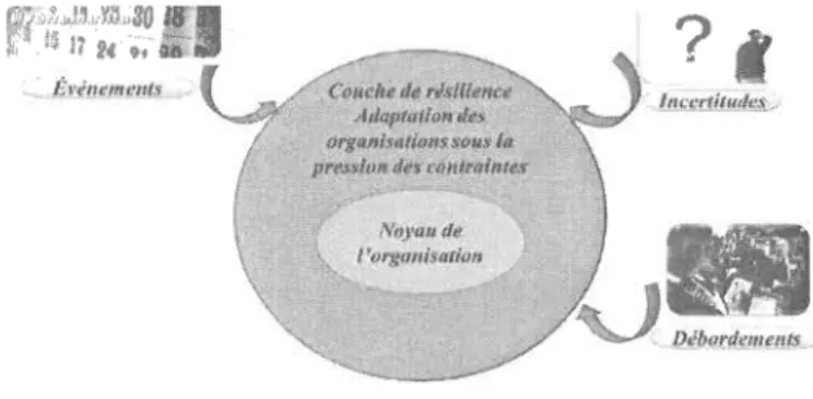 Figure  12  ;  La résilience d'une  organisation  aux prises  avec un risque  de  crise