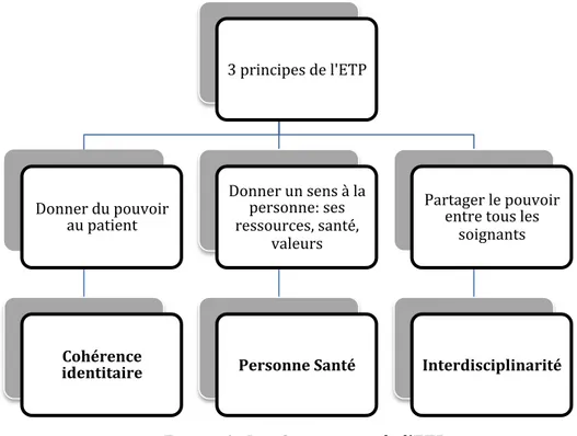 Figure 6 : Les 3 principes de l’ETP 