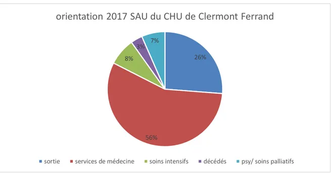 Figure 5 : orientation des patients, après passage aux urgences adultes du CHU de Clermont-Ferrand sur  l’année 2017 