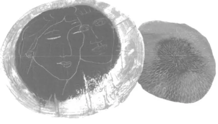 Figure 9  :  Liée