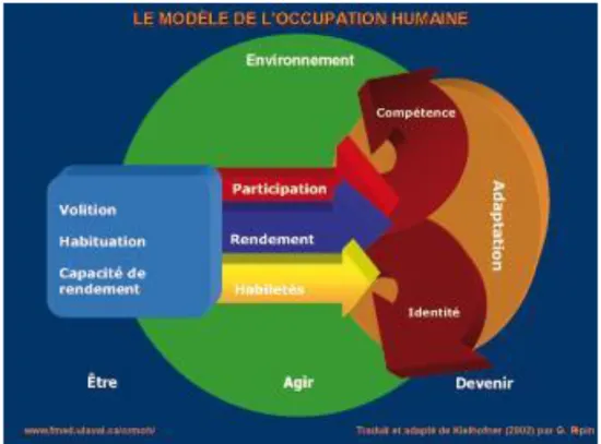 Figure 1: Traduction canadienne du modèle de l’occupation humaine  