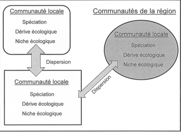 Figure  l.L  Les  quatre  mécanismes  qui  forment  les  communautés  selon  la  théorie