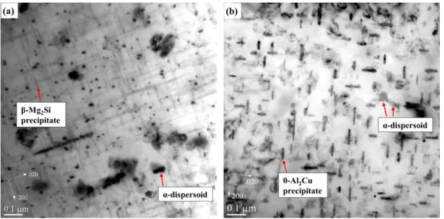 Fig. 7 Bright-field TEM images of precipitates and dispersoids in (a) 356-T7 and (b) 319-T7 after LCF test at Δε t /2=0.6%