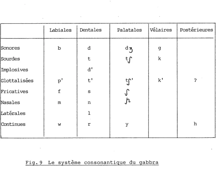 Fig. 9 Le système consonantique du gabbra 