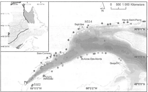 Figure  5.  Location  of the  study  area.  All  the  samples  were  divided  into five  regions according  to  their  geographic  position:  North-Shore  (dark  blue),  South-Shore (dark green),  North-Margin (light  blue), South-Margin  (ligth  green),  