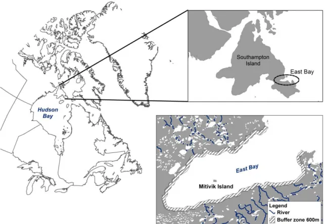 Figure 1.  Maps showing the location of the study area. The common eider colony is located on  Mitivik Island, in East Bay, on Southampton Island, Nunavut, Canada