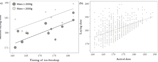 Figure 4.  Common eider laying date in relation to (a) the timing of ice-breakup at river mouths  (day of 1% of open water) and (b) the arrival date at the coloy